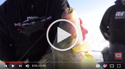 Record burbot caught, Giant walleye video, Jigging bait hand model