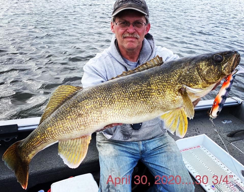 Longer ice rods are better, Politics mess with fishing, Catch and catch  again – Target Walleye