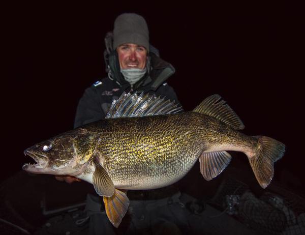 Saginaw Bay Walleye Candy