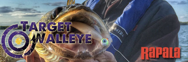 Gunki Power Game Spinnrute Walleye Rod Hechtrute Allroundrute