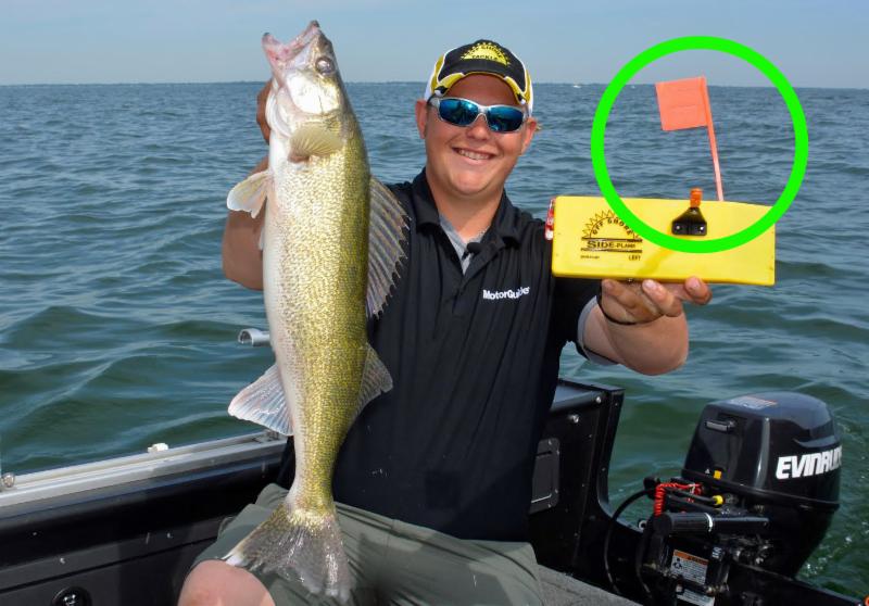 19-lb walleye caught, Walleye pheasant hybrid, Rock moose of the week –  Target Walleye