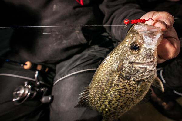 Merp walleye month, Late-ice crappies, Melons of the week – Target