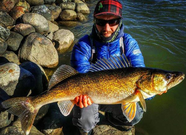 Use bigger jigs, Walleyes of the week, Al on the trolling revolution –  Target Walleye