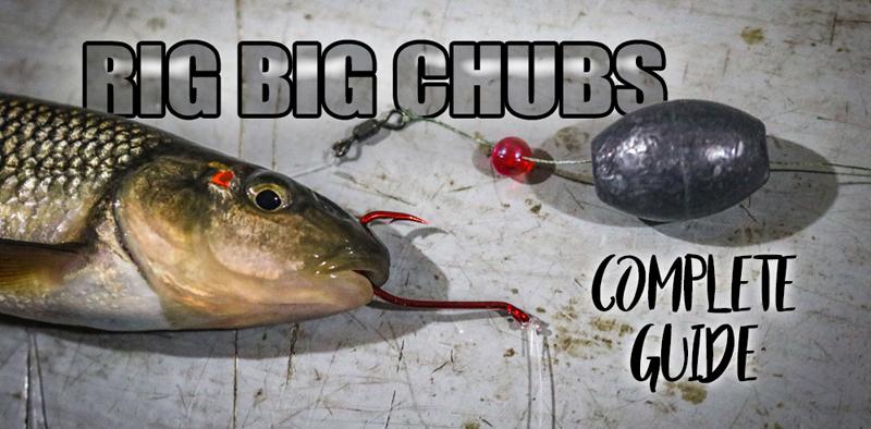 Big chub SZN, Trick your shuttle, Simple shore fishing rig – Target Walleye