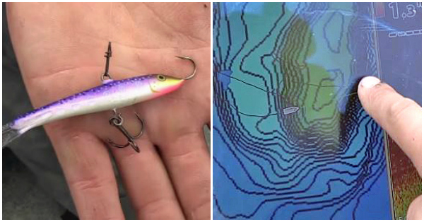 Rapala Jigging Rap - Purpledescent