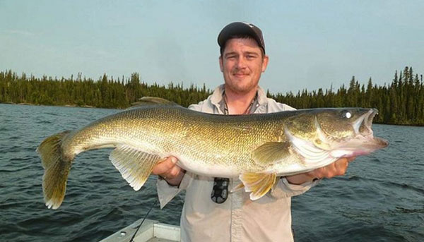 Jig Fishing For Walleye Article By Jeff Sundin