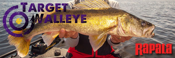 Best greenback shot ever, Walleyes on swimbaits?, Early trolling tip –  Target Walleye