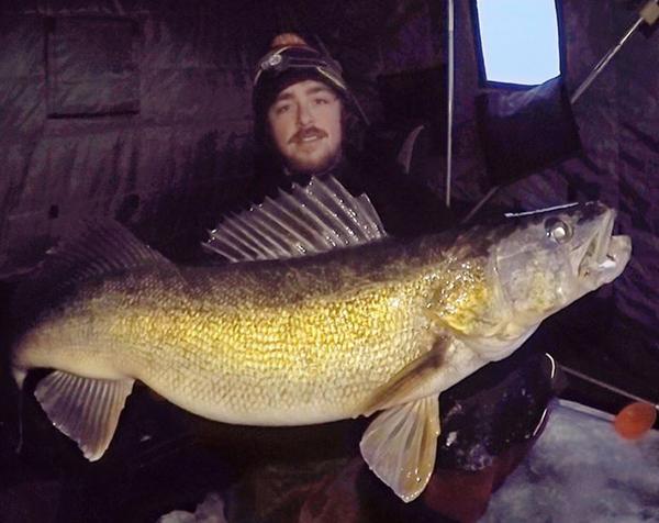 Rare golden crappie caught, Pike swims up hole, Metro walleye tips