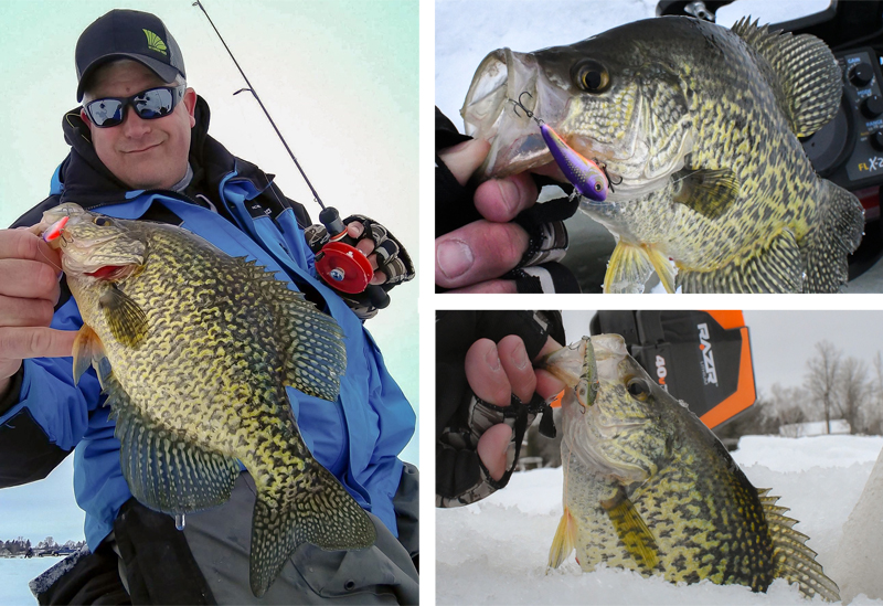 Use lipless cranks to catch the biggest crappies from a school – Target  Walleye