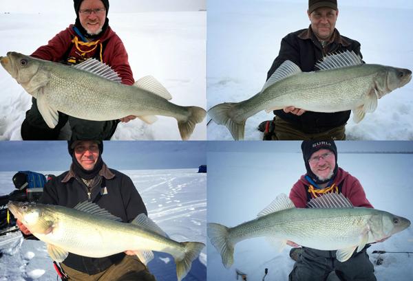 Red Lake Walleye Tips  Northland Fishing Tackle