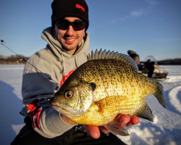 Slaying Bluegills with a 9 Dollar Ice Rod!! (Wisconsin Ice Fishing) 