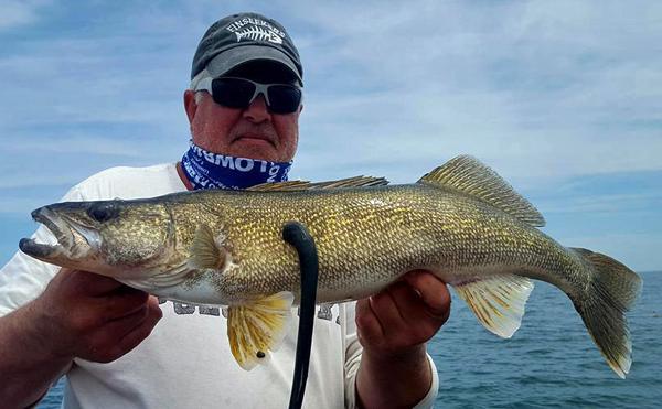 The Meanest Walleyes Lay Down Roots in Weeds - MidWest Outdoors