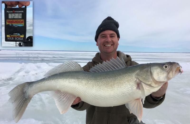 Nighttime walleye on sand, Burbot record broke again, Fish vs