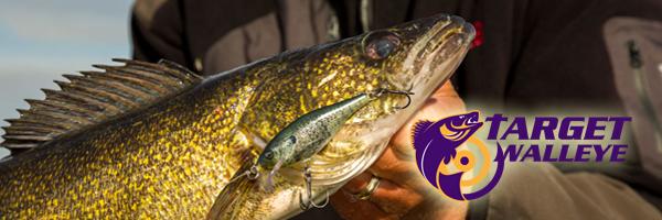 Catch pigs on pork, Keeping shiners pinned, Walleyes of the week – Target  Walleye