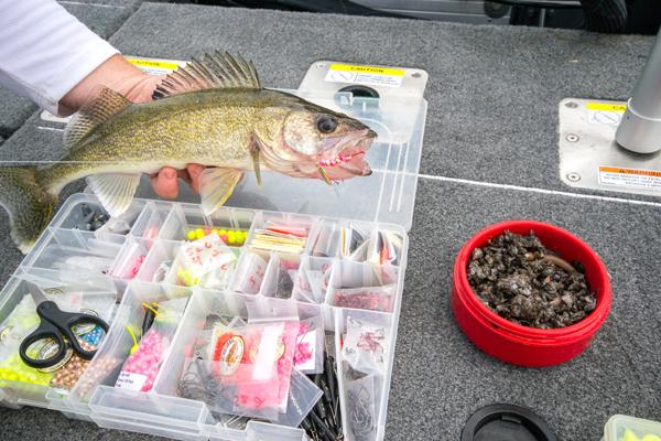 Snake rigging walleyes, New stuff from ICAST, Trolling downwind