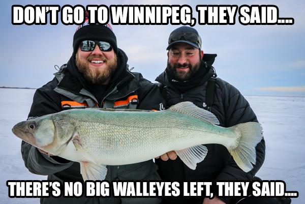 Any big walleyes left in Lake Winnipeg? – Target Walleye