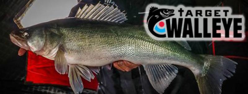 Mega 35″ walleye iced, Fishing is romantic, Crazy 120-lb sturgeon video – Target  Walleye