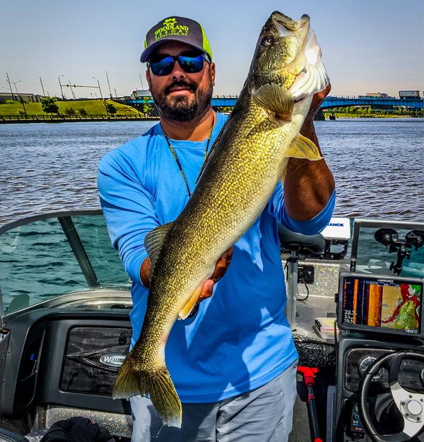 Saginaw bay walleye