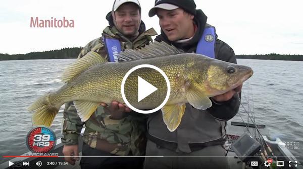 Scissorkick Walleye! Testing out a new lure on Lake Manitoba. 