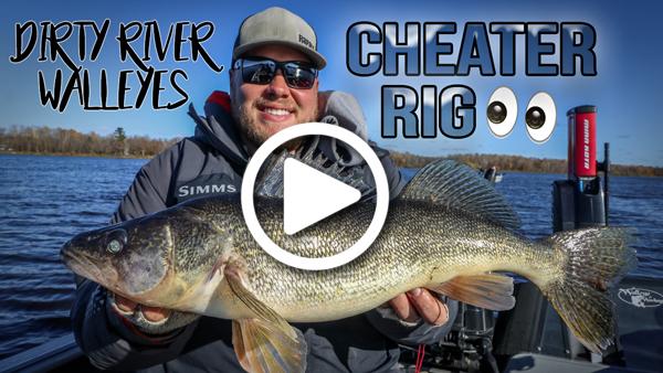 Cheater rig for river walleyes, Biggest male walleyes ever, Inline