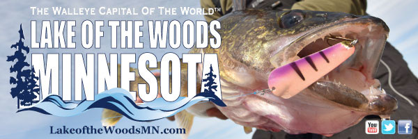 17 lb ice walleye, Pot-bellies of the week, More rings for more