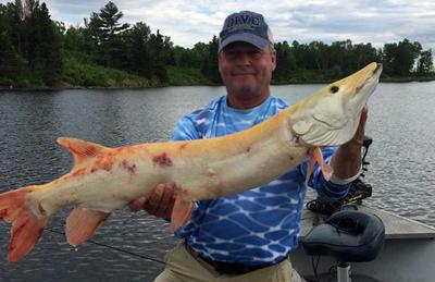 Snake rigging walleyes, New stuff from ICAST, Trolling downwind