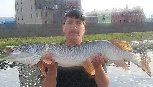 High-speed graphing, Walleye eat burbot, Troy Lindner things – Target  Walleye