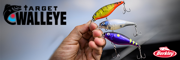 Shudder bait walleyes, Where fish sticks come from, Summer transition tips  – Target Walleye