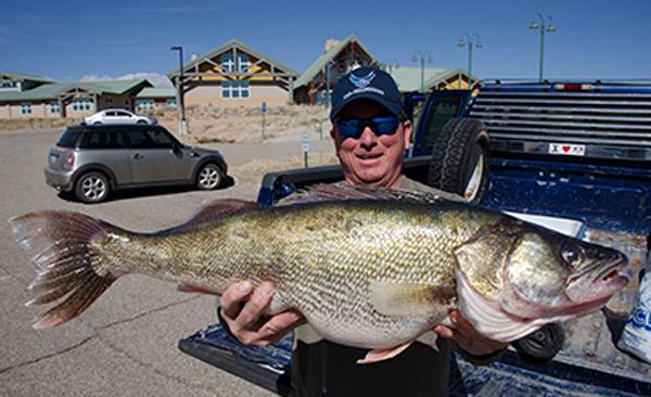 Panfish by Dick Sternberg