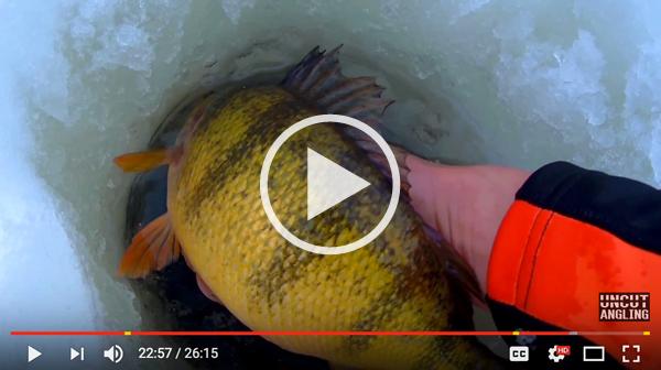 Al's favoritest bait, Intense laker vid, Furry walleye caught – Target  Walleye