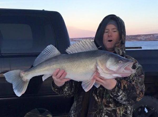 PIGS IN BAY DE NOC! - Ice Fishing Forum - Ice Fishing Forum