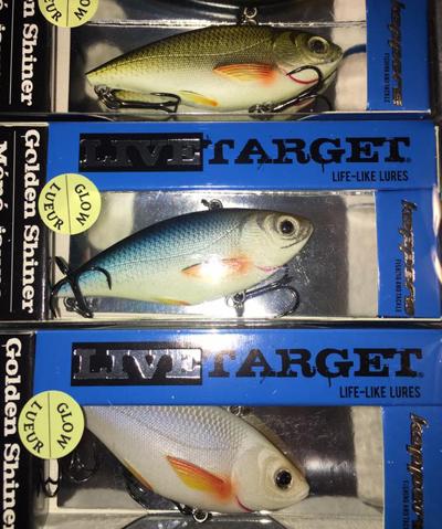 LiveTarget Golden Shiner Swimbait New 8 Size with Dave Mercer