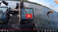 Alabama rig walleye, Insane mayfly hatch, Rod wrapping trick