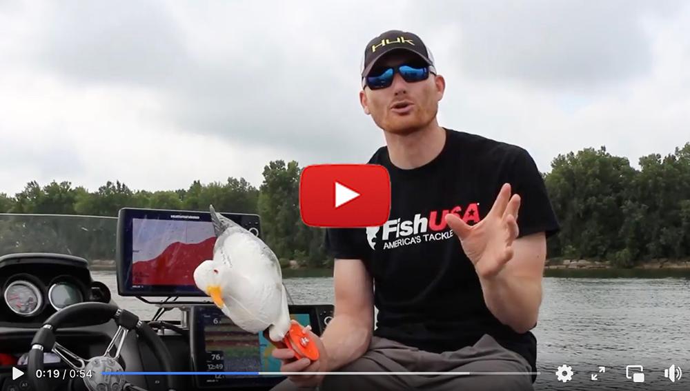 Old seagull trick? Best hardwater panfish line? Fishing meets