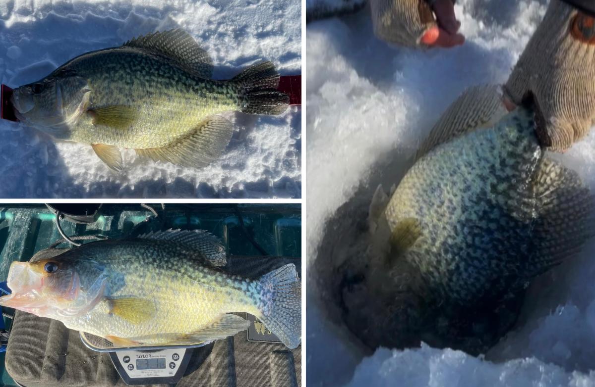 Ice fishing for crappie stock photo. Image of float, lake - 12706388