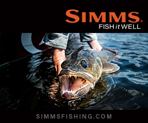 Freak 5-lb sunfish, Level your SI ducer, Fishing opener shenanigans –  Target Walleye
