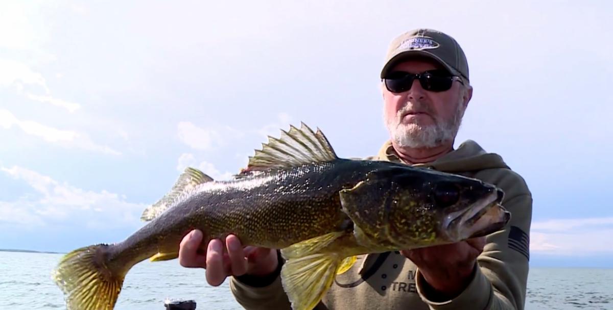 Long winter, cool spring might make minnows scarce for walleye opener