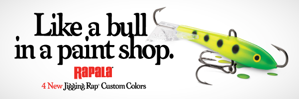 Don't Overlook These Shallow Running Crankbaits! They SMASH'EM In The  Spring! 