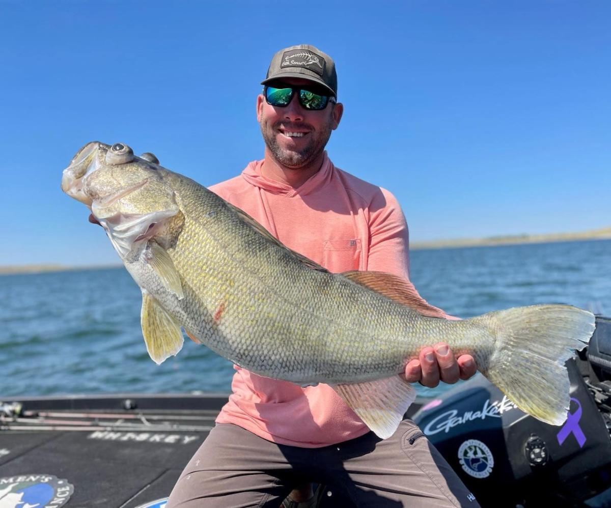 Bass fish for bigger walleyes, Gravel lizards of the week, Dogs fish too –  Target Walleye