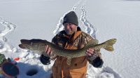 Sonar shadows simplified, Near record sauger, Suspended burbot
