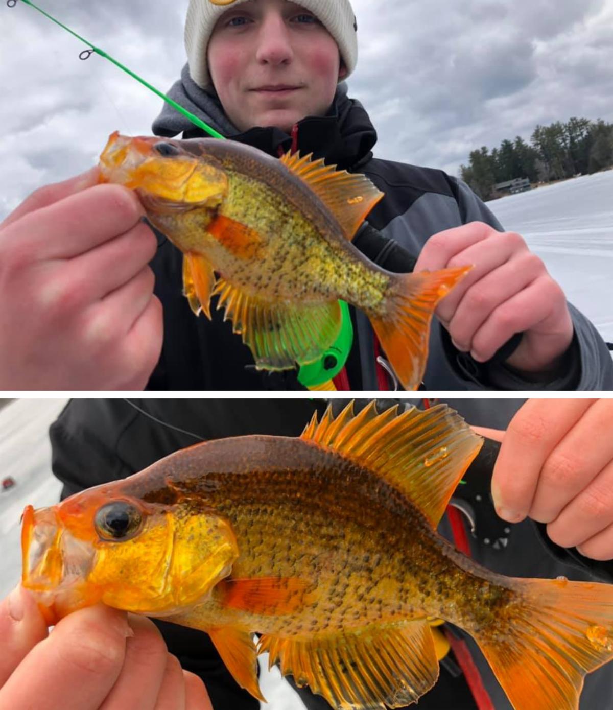 Panfish look but won't bite? Make this super-easy adjustment to your jig •  Outdoor Canada