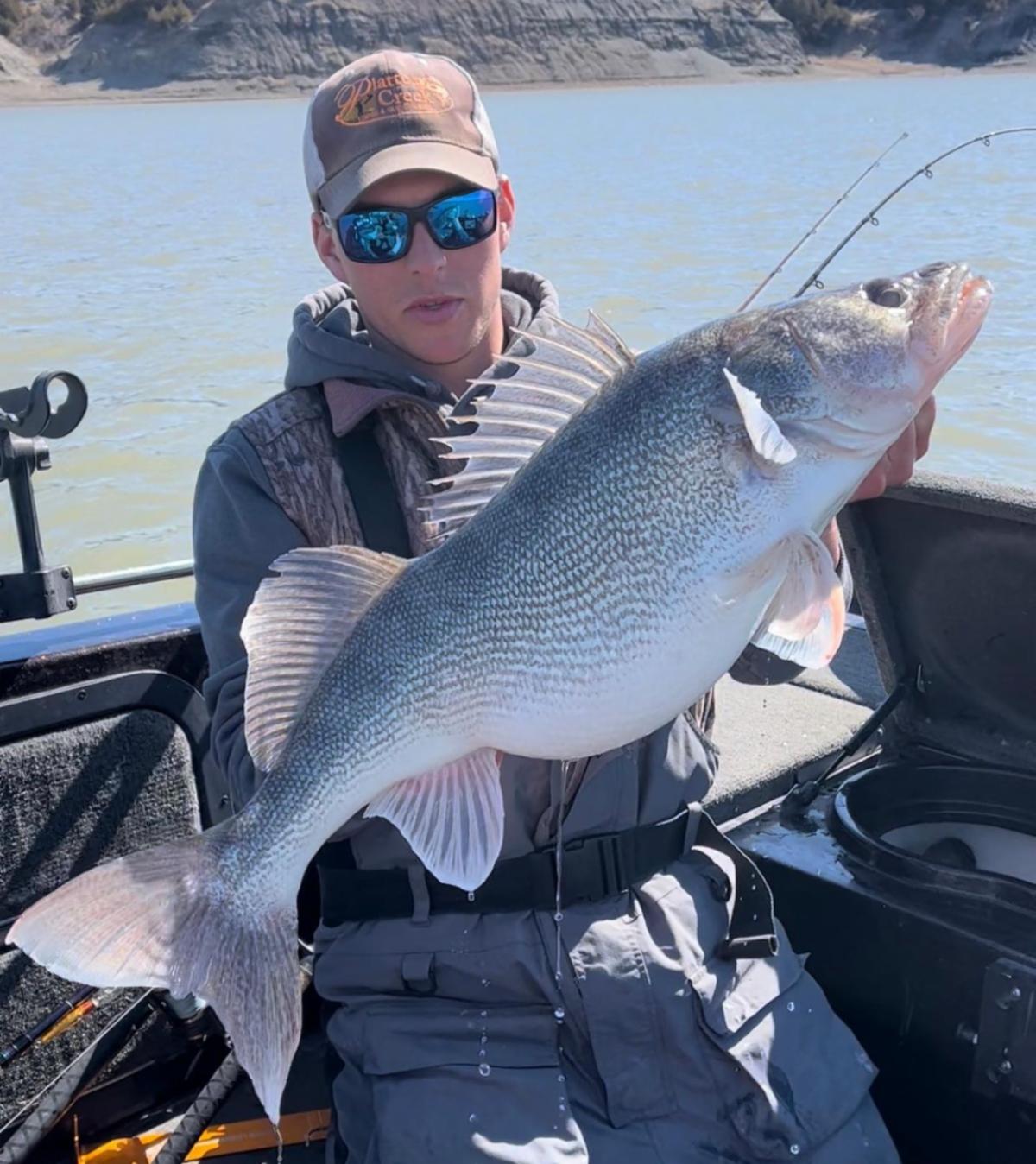 Giant Missouri River walleye, Mille Lacs not closing, Tom Boley is back –  Target Walleye