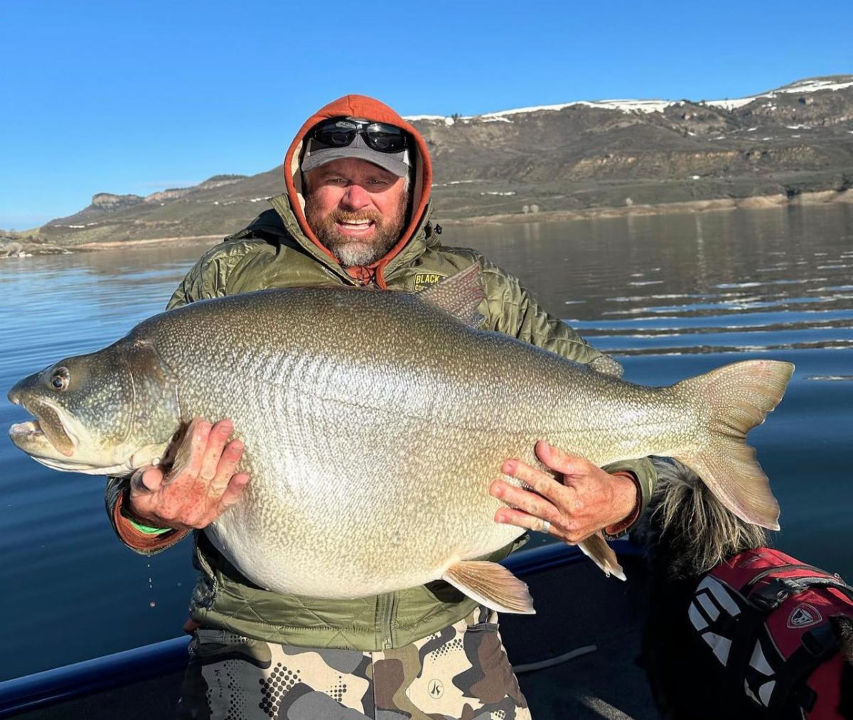 Cold Carp: Score Some Winter Gold! - The Fisherman