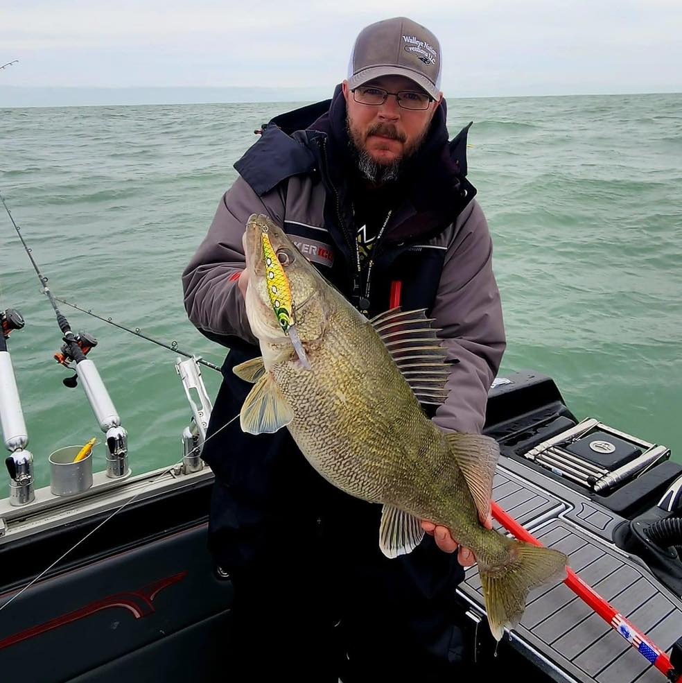 Tom Boley's fall transition tips, Turnover explained, New PB walleye –  Target Walleye