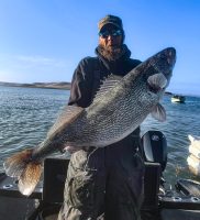 SD walleye record shattered, Spinning reel strip down, Early-ice trophy bluegills