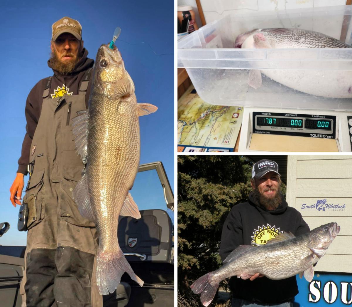 Nearly 18-Pound Walleye Breaks SD Record… Again! - Coastal Angler