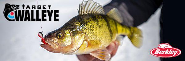 Hybrid walleye bait, Replicas vs skin mounts, Big fish science – Target  Walleye