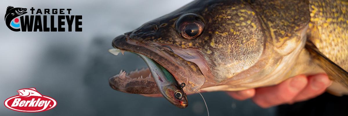 Al Lindner is ticked, Giants of the week, Outrageous goldfish catch –  Target Walleye