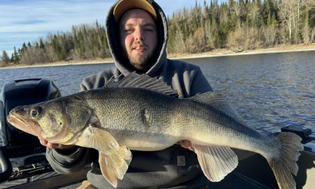 Rainy River is on fire, Dirty water advantages, Don't squat on fish –  Target Walleye