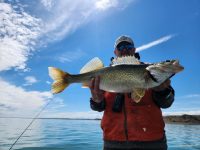 18-lb walleye caught, Al Lindner hype, Spring cranking basics